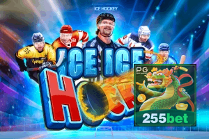 255BET feedback — categorias de sugestão e melhoria no app