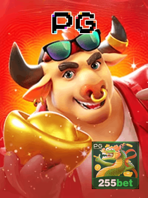 255BET cadastro — tela de formulário no app oficial