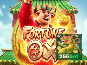 255BET login — painel de entrada no app oficial