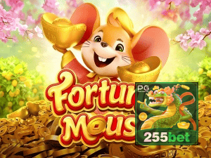 255BET login — configurações de segurança e proteção de conta